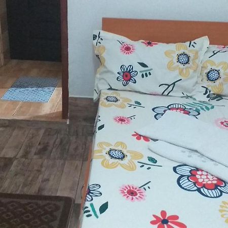 Garsoniera Leilighet Buzău Eksteriør bilde